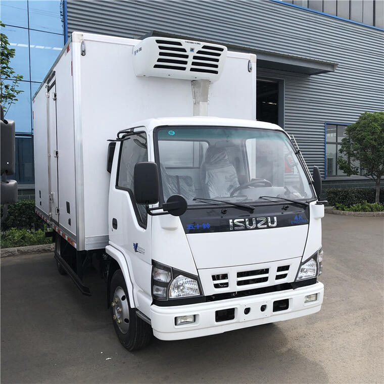 5T Isuzu 600P Freezer ThermoKing -25C
