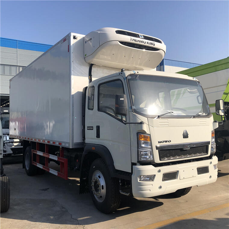 4x2 10T Howo Euro3 Cooling Cold Truck