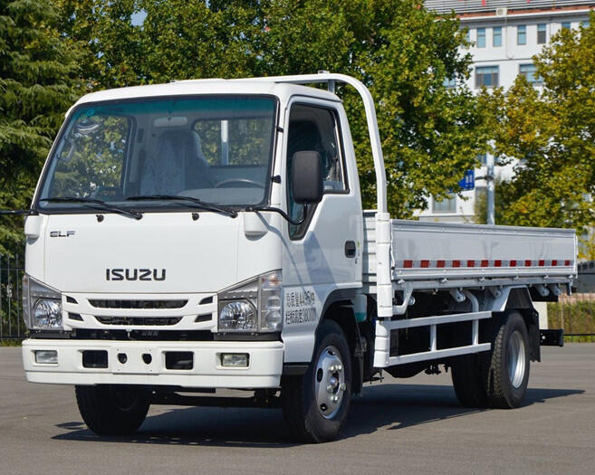 Isuzu 100P Cargo Fence 2-3T