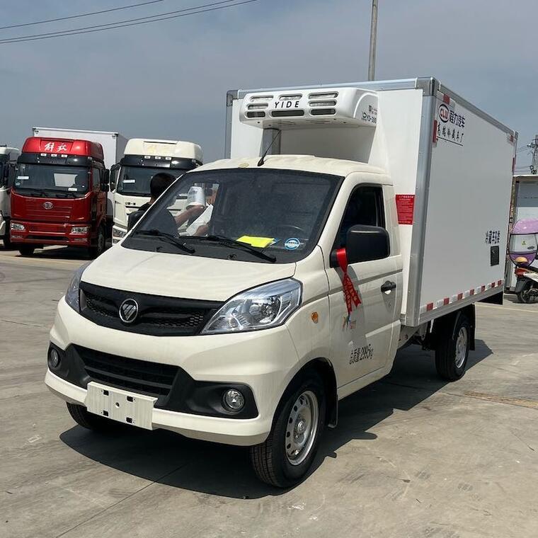 Gasoline Foton Mini Refrigerated 1T Food