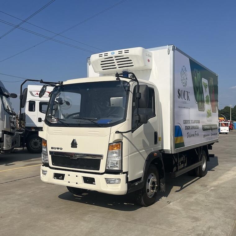 4x2 Sinotruk Howo 3.5T Small Frozen Food 4m