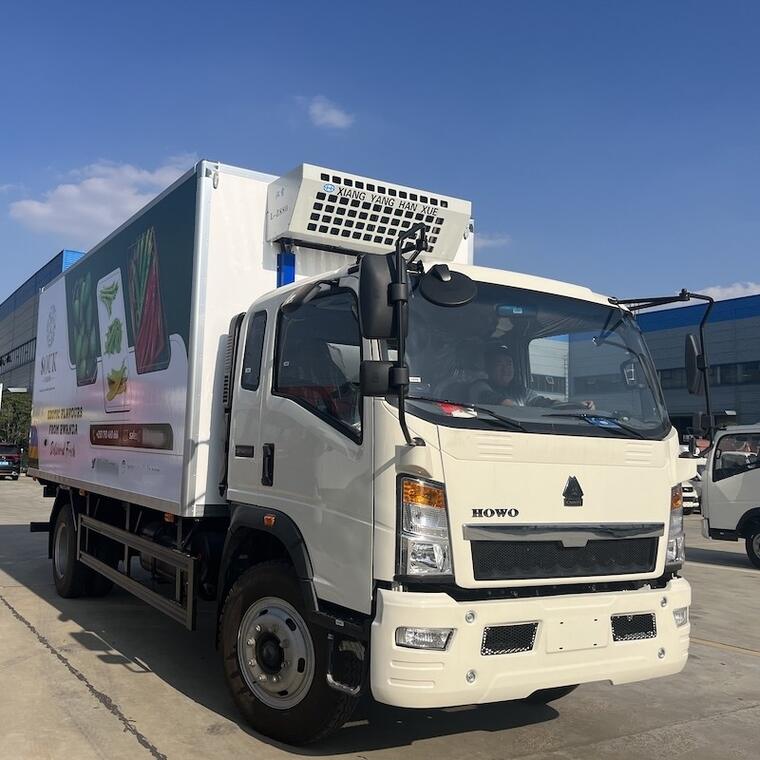 10T LHD/RHD Howo Freezer Truck 6m box
